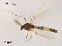  ( - XL1803)  @11 [ ] CreativeCommons - Attribution Non-Commercial Share-Alike (2019) Xiaolong Lin College of Life Sciences, Nankai University