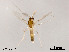  ( - XL1804)  @11 [ ] CreativeCommons - Attribution Non-Commercial Share-Alike (2019) Xiaolong Lin College of Life Sciences, Nankai University