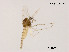  ( - XL1842)  @11 [ ] CreativeCommons - Attribution Non-Commercial Share-Alike (2019) Xiaolong Lin College of Life Sciences, Nankai University