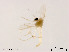  ( - XL1845)  @12 [ ] CreativeCommons - Attribution Non-Commercial Share-Alike (2019) Xiaolong Lin College of Life Sciences, Nankai University