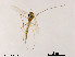  ( - XL1852)  @11 [ ] CreativeCommons - Attribution Non-Commercial Share-Alike (2019) Xiaolong Lin College of Life Sciences, Nankai University