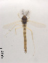  ( - XL2023)  @11 [ ] CreativeCommons - Attribution Non-Commercial Share-Alike (2019) Xiaolong Lin College of Life Sciences, Nankai University