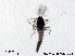  ( - XL2049)  @11 [ ] CreativeCommons - Attribution Non-Commercial Share-Alike (2019) Xiaolong Lin College of Life Sciences, Nankai University