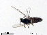  ( - XL2051)  @11 [ ] CreativeCommons - Attribution Non-Commercial Share-Alike (2019) Xiaolong Lin College of Life Sciences, Nankai University
