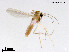  ( - XL2091)  @11 [ ] CreativeCommons - Attribution Non-Commercial Share-Alike (2019) Xiaolong Lin College of Life Sciences, Nankai University