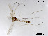  ( - XL2094)  @11 [ ] CreativeCommons - Attribution Non-Commercial Share-Alike (2019) Xiaolong Lin College of Life Sciences, Nankai University