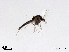  ( - XL2117)  @11 [ ] CreativeCommons - Attribution Non-Commercial Share-Alike (2019) Xiaolong Lin College of Life Sciences, Nankai University