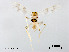  ( - XL2164)  @11 [ ] CreativeCommons - Attribution Non-Commercial Share-Alike (2019) Xiaolong Lin College of Life Sciences, Nankai University
