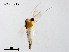  ( - XL2172)  @11 [ ] CreativeCommons - Attribution Non-Commercial Share-Alike (2019) Xiaolong Lin College of Life Sciences, Nankai University