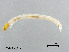  ( - XL2228)  @12 [ ] CreativeCommons - Attribution Non-Commercial Share-Alike (2019) Xiaolong Lin College of Life Sciences, Nankai University