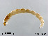  ( - XL2234)  @11 [ ] CreativeCommons - Attribution Non-Commercial Share-Alike (2019) Xiaolong Lin College of Life Sciences, Nankai University