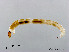  ( - XL2237)  @11 [ ] CreativeCommons - Attribution Non-Commercial Share-Alike (2019) Xiaolong Lin College of Life Sciences, Nankai University