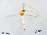  ( - XL2451)  @13 [ ] CreativeCommons - Attribution Non-Commercial Share-Alike (2019) Xiaolong Lin College of Life Sciences, Nankai University