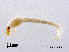  ( - XL2503)  @11 [ ] CreativeCommons - Attribution Non-Commercial Share-Alike (2019) Xiaolong Lin College of Life Sciences, Nankai University