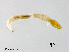  ( - XL2526)  @11 [ ] CreativeCommons - Attribution Non-Commercial Share-Alike (2019) Xiaolong Lin College of Life Sciences, Nankai University