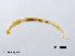  ( - XL2542)  @11 [ ] CreativeCommons - Attribution Non-Commercial Share-Alike (2019) Xiaolong Lin College of Life Sciences, Nankai University