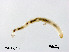  ( - XL2545)  @11 [ ] CreativeCommons - Attribution Non-Commercial Share-Alike (2019) Xiaolong Lin College of Life Sciences, Nankai University