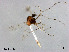  ( - XL2784)  @11 [ ] CreativeCommons - Attribution Non-Commercial Share-Alike (2019) Xiaolong Lin College of Life Sciences, Nankai University