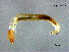  ( - XL2796)  @11 [ ] CreativeCommons - Attribution Non-Commercial Share-Alike (2019) Xiaolong Lin College of Life Sciences, Nankai University