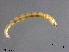  ( - XL2803)  @11 [ ] CreativeCommons - Attribution Non-Commercial Share-Alike (2019) Xiaolong Lin College of Life Sciences, Nankai University