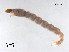  ( - XL2893)  @11 [ ] CreativeCommons - Attribution Non-Commercial Share-Alike (2019) Xiaolong Lin College of Life Sciences, Nankai University