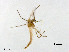  ( - XL2969)  @13 [ ] CreativeCommons - Attribution Non-Commercial Share-Alike (2019) Xiaolong Lin College of Life Sciences, Nankai University