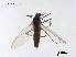  ( - XL3008)  @11 [ ] CreativeCommons - Attribution Non-Commercial Share-Alike (2019) Xiaolong Lin College of Life Sciences, Nankai University