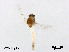  ( - XL3038)  @11 [ ] CreativeCommons - Attribution Non-Commercial Share-Alike (2019) Xiaolong Lin College of Life Sciences, Nankai University