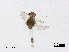  ( - XL3057)  @11 [ ] CreativeCommons - Attribution Non-Commercial Share-Alike (2019) Xiaolong Lin College of Life Sciences, Nankai University