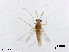  ( - XL3068)  @11 [ ] CreativeCommons - Attribution Non-Commercial Share-Alike (2019) Xiaolong Lin College of Life Sciences, Nankai University