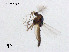  ( - XL3077)  @11 [ ] CreativeCommons - Attribution Non-Commercial Share-Alike (2019) Xiaolong Lin College of Life Sciences, Nankai University
