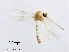  ( - XL3083)  @11 [ ] CreativeCommons - Attribution Non-Commercial Share-Alike (2019) Xiaolong Lin College of Life Sciences, Nankai University