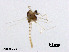  ( - XL3089)  @11 [ ] CreativeCommons - Attribution Non-Commercial Share-Alike (2019) Xiaolong Lin College of Life Sciences, Nankai University