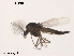  ( - XL751)  @11 [ ] CreativeCommons - Attribution Non-Commercial Share-Alike (2019) Xiaolong Lin College of Life Sciences, Nankai University