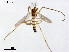  ( - XL849)  @11 [ ] CreativeCommons - Attribution Non-Commercial Share-Alike (2018) Xiaolong Lin College of Life Sciences, Nankai University