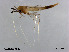  ( - XL882)  @11 [ ] CreativeCommons - Attribution Non-Commercial Share-Alike (2019) Xiaolong Lin College of Life Sciences, Nankai University