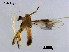  ( - XL890)  @11 [ ] CreativeCommons - Attribution Non-Commercial Share-Alike (2019) Xiaolong Lin College of Life Sciences, Nankai University