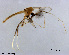  ( - XL898)  @11 [ ] CreativeCommons - Attribution Non-Commercial Share-Alike (2018) Xiaolong Lin College of Life Sciences, Nankai University
