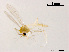  ( - XL900)  @11 [ ] CreativeCommons - Attribution Non-Commercial Share-Alike (2018) Xiaolong Lin College of Life Sciences, Nankai University