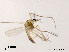  ( - XL903)  @11 [ ] CreativeCommons - Attribution Non-Commercial Share-Alike (2019) Xiaolong Lin College of Life Sciences, Nankai University