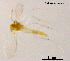  ( - XL917)  @11 [ ] CreativeCommons - Attribution Non-Commercial Share-Alike (2018) Xiaolong Lin College of Life Sciences, Nankai University