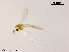  ( - XL945)  @11 [ ] CreativeCommons - Attribution Non-Commercial Share-Alike (2019) Xiaolong Lin College of Life Sciences, Nankai University