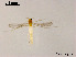  ( - XL960)  @11 [ ] CreativeCommons - Attribution Non-Commercial Share-Alike (2019) Xiaolong Lin College of Life Sciences, Nankai University