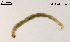  ( - XL973)  @12 [ ] CreativeCommons - Attribution Non-Commercial Share-Alike (2018) Xiaolong Lin College of Life Sciences, Nankai University