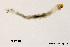  ( - XL977)  @12 [ ] CreativeCommons - Attribution Non-Commercial Share-Alike (2018) Xiaolong Lin College of Life Sciences, Nankai University