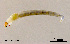  ( - ZJ119)  @11 [ ] CreativeCommons - Attribution Non-Commercial Share-Alike (2018) Xiaolong Lin College of Life Sciences, Nankai University
