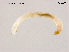  ( - ZJ121)  @11 [ ] CreativeCommons - Attribution Non-Commercial Share-Alike (2018) Xiaolong Lin College of Life Sciences, Nankai University