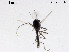  ( - ZJ232)  @11 [ ] CreativeCommons-Attribution Non-Commercial Share-Alike (2020) Xiaolong Lin Nankai University, College of Life Sciences