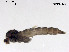  ( - ZJ283)  @11 [ ] CreativeCommons - Attribution Non-Commercial Share-Alike (2019) Xiaolong Lin College of Life Sciences, Nankai University