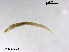  ( - ZJ294)  @12 [ ] CreativeCommons - Attribution Non-Commercial Share-Alike (2019) Xiaolong Lin College of Life Sciences, Nankai University